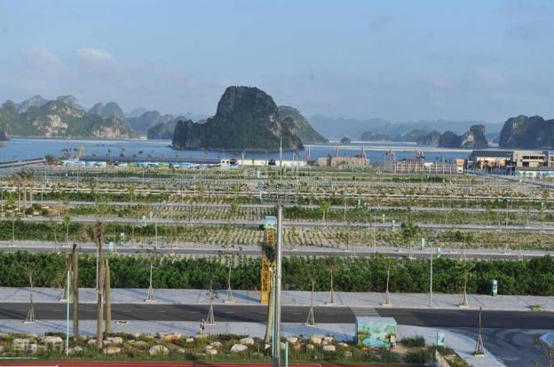 Cơ hội đầu tư đất nền mặt biển siêu lợi nhuận Vân Đồn, Quảng Ninh 13298085