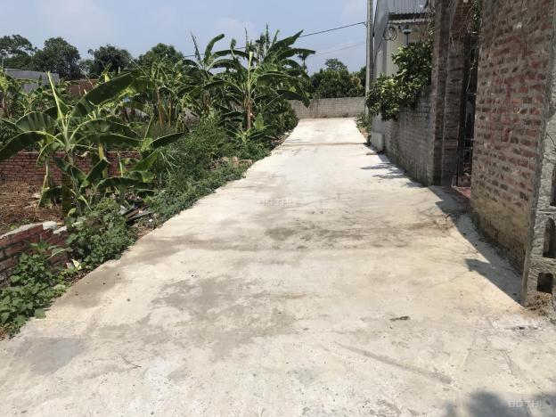 Bán 100m2 đất giãn dân Đồi Trũng, Tân Xã, Thạch Thất 13300049