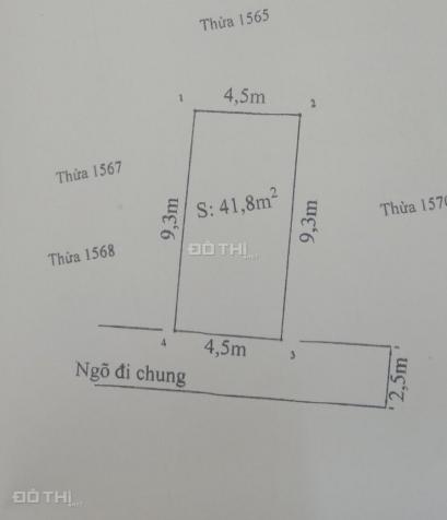 Bán đất phân lô ngõ 210 Cát Linh, Tràng Cát, Hải An, diện tích: 42m2 ngang 4.5m 13305499