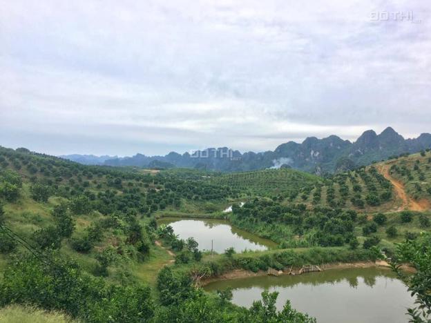 Bán đất có trang trại, rừng sản xuất, có đầy đủ điện nước, DT 21ha, Lương Sơn, Hòa Bình. 15 tỷ 13306049
