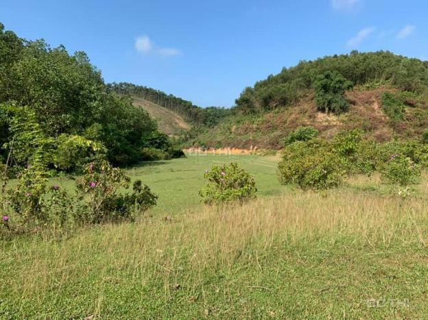 Bán đất rừng sản xuất Lương Sơn, Hòa Bình, diện tích 30ha, giá 600tr/ha. LH: 0983337986 13306055