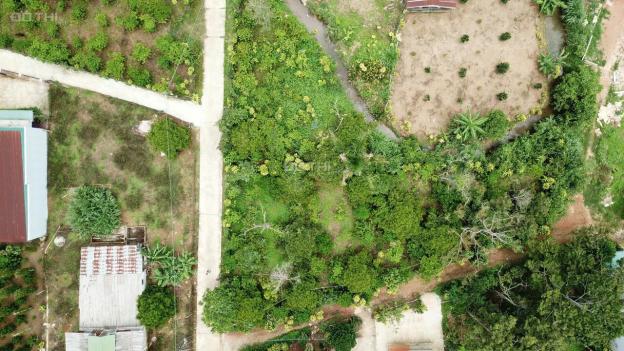 Chính chủ cần bán gấp vườn măng cụt gần 1 sào đường 1/5 thành phố Bảo Lộc có sẵn 200m2 thổ cư, SHR 13307149