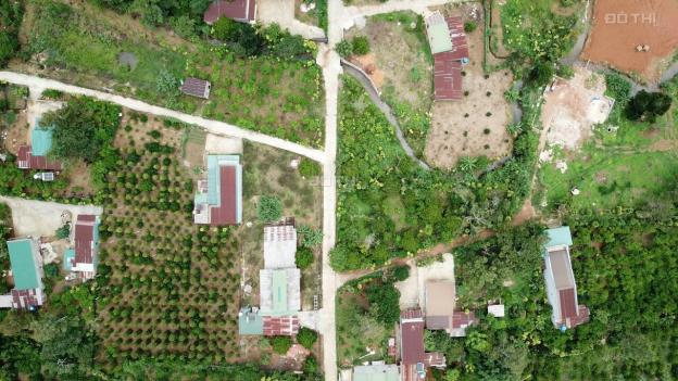 Chính chủ cần bán gấp vườn măng cụt gần 1 sào đường 1/5 thành phố Bảo Lộc có sẵn 200m2 thổ cư, SHR 13307149