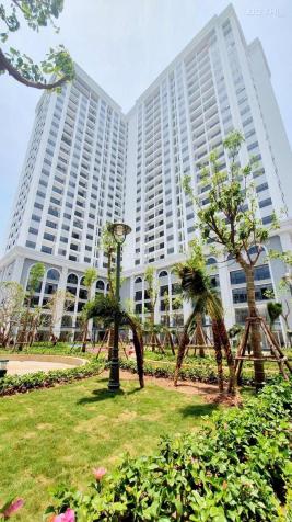 25tr/m2 sở hữu căn hộ tại TSG Lotus Sài Đồng, hỗ trợ vay LS 0% trong 24 tháng 13309734