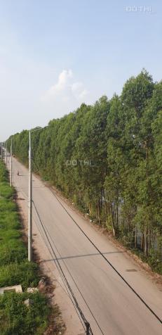 Bán nhanh lô Quang Châu dãy A1 hàng cây nhìn sang khu đô thị phía nam 19.8ha Quang Châu 13310060