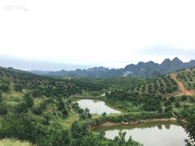 Bán đất vườn xây trang trại, đất rừng SX, 21ha, Long Sơn, Lương Sơn, Hòa Bình, 1 tỷ/ha 0983337986 13313657
