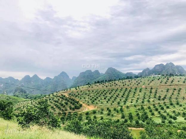 Bán đất vườn xây trang trại, đất rừng SX, 21ha, Long Sơn, Lương Sơn, Hòa Bình, 1 tỷ/ha 0983337986 13313657