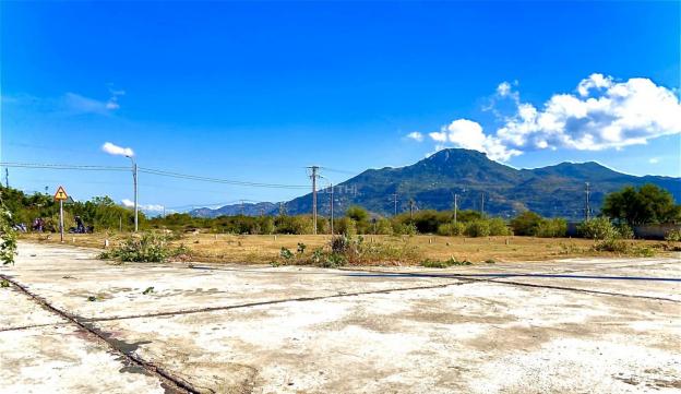 BĐS Cà Ná - Ninh Thuận: Ly rượu vang hảo hạng dành cho nhà đầu tư biết thưởng thức 13314046