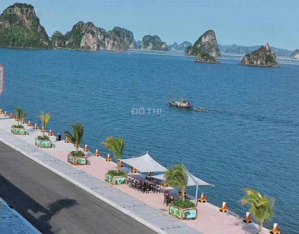 Bán ô đất trục đường kinh doanh 32m khu đô thị biển Phương Đông - Vân Đồn - Quảng Ninh 13318084