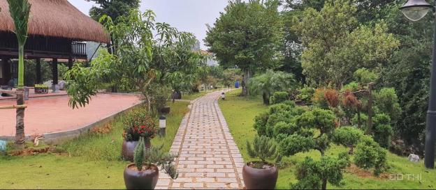 Siêu phẩm Homefarm 2.2ha chỉ việc xách vali về ở ở Lương Sơn. LH 0917.366.060/0948.035.862 13319246