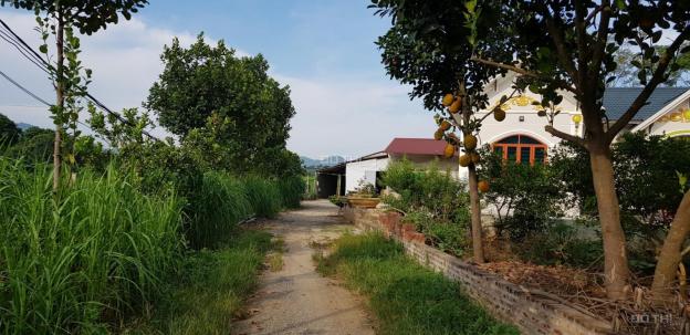 Bán nhà mái thái và trang trại nghỉ dưỡng tại Yên Bài, Ba Vì, giá tốt 13319583