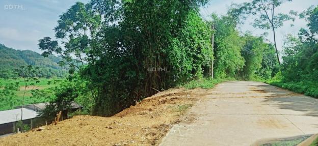 Chính chủ cần bán mảnh đất 1562m2 tại Yên Bài, Ba Vì, Hà Nội 13321021