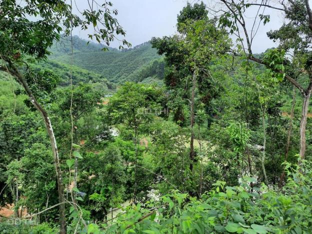 24ha làm sinh thái có 1 - 0 - 2 ở Lương Sơn, Hòa Bình, giá chỉ ~ 500tr/ha. LH: 0983337986 13321405