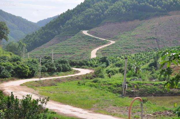 Chỉ 12 nghìn/m2 đất trồng rừng ở Lạng Sơn 13333647