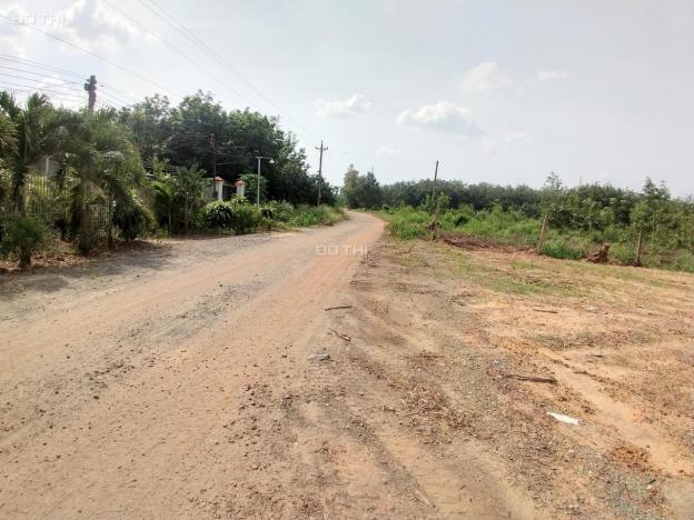 Bán lô đất 2 mặt tiền đường Tam Phước, Biên Hòa, gần khu công nghiệp Giang Điền 13364407