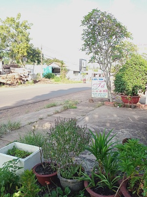 Cần tiền bán gấp 193m2 nhà đất mặt tiền Lê Hồng Phong, thị trấn Ngãi Giao, Châu Đức 13366124