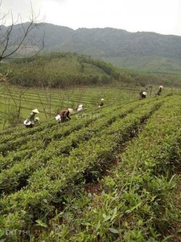 Cần bán mảnh đất 2,5ha Thanh Sơn, Phú Thọ làm nghỉ dưỡng view siêu thoáng 13372764