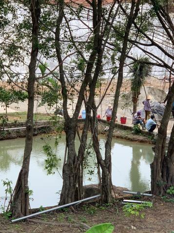 Bán khu du lịch sinh thái tại núi Dinh, huyện Tân Thành, thị trấn Phú Mỹ, Vũng Tàu 13374852