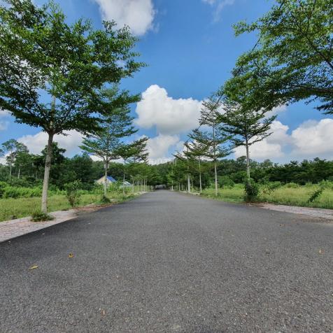 Đất trung tâm TP Biên Hòa, diện tích lớn 750m2, mặt tiền đường lớn, giá chỉ 4trx/m2 13380388