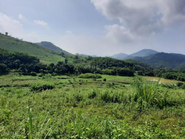 Cần bán 2.2ha đất rừng sản xuất view tuyệt đỉnh tại Kỳ Sơn, Hòa Bình 13381756