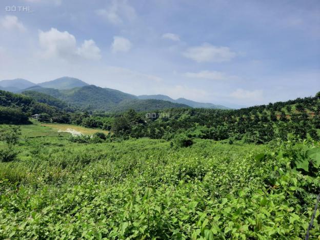 Cần bán 2.2ha đất rừng sản xuất view tuyệt đỉnh tại Kỳ Sơn, Hòa Bình 13381756