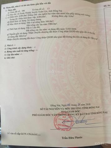 Cần bán 6 sào đất xã Xuân Thành, huyện Xuân Lộc, Đồng Nai 13384885
