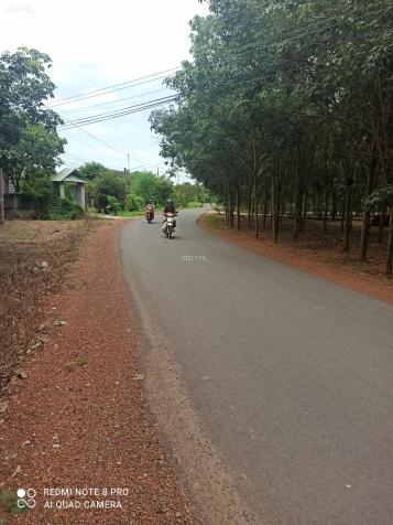 Bán đất mặt tiền đường nhựa 15 mét xã Tiến Hưng, Đồng Xoài, Bình Phước, diện tích 6x50m 13391111