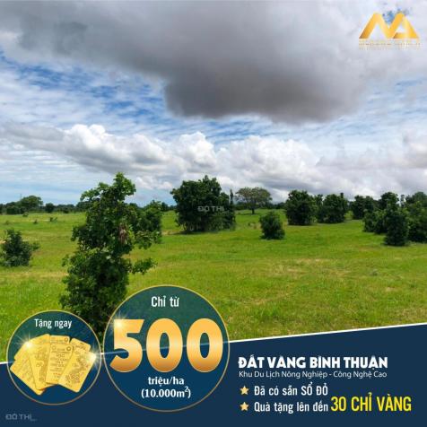 Đất Bình Thuận giá sốt nhất thị trường hiện nay 13394212