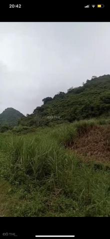 Bán đất tại xã Kỳ Phú, huyện Nho Quan, Ninh Bình 13397558