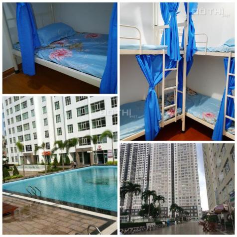 Cho nữ thuê giường tầng trong căn hộ cao cấp chuẩn khách sạn 3 sao, có hồ bơi 10596531