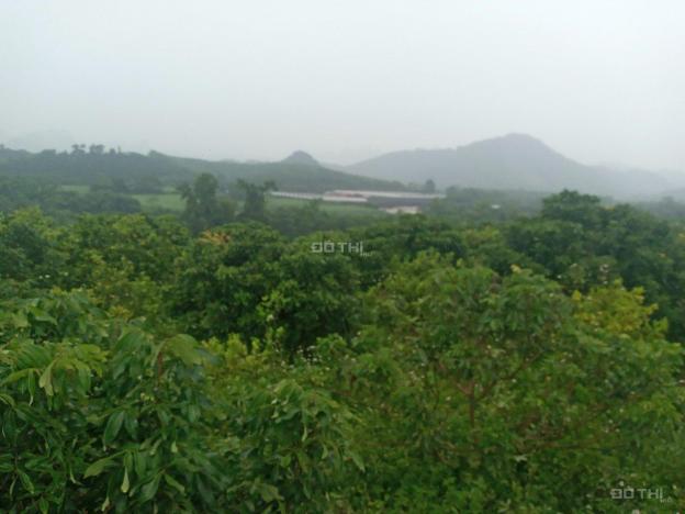 Bán đất phù hợp làm trang trại nghỉ dưỡng siêu đẹp Kim Bôi, Hòa Bình diện tích 18423m2 13414609