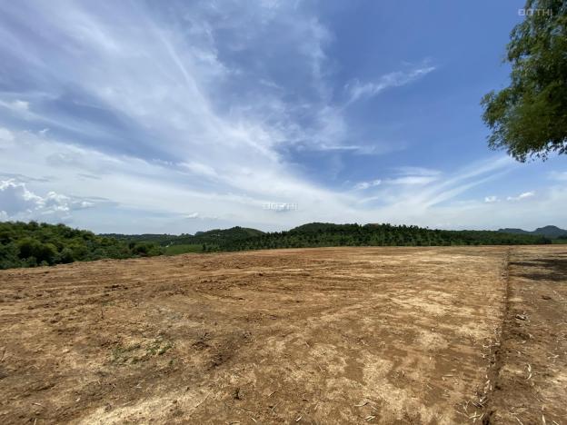 Cần bán gấp 17000m2 đất Hợp Thanh, Lương Sơn, view thoáng làm nhà vườn 13415264