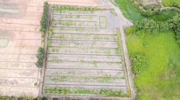 Bán đất vườn xã An Điền thị xã Bến Cát, Bình Dương diện tích 9400m2 13415958