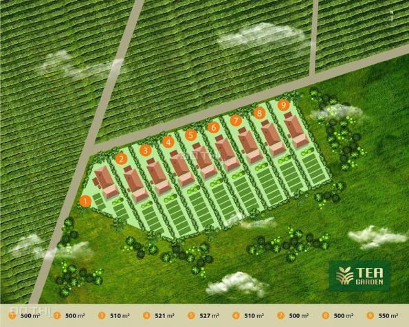 Vstar Land - tea garden - farm garden - green file - sản phẩm đất đầu tư - nghỉ dưỡng - ven hồ 13420471
