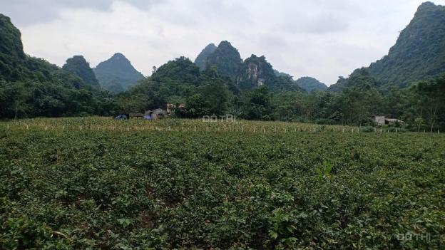 Bán gấp siêu phẩm 3026m2 đất thổ cư lưng tựa núi đá tại Lương Sơn, Hòa Bình 13423235
