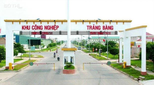 Bán đất DT lớn đã tách 5 thửa nhỏ, 335m2/350tr, gần trung tâm TX Trảng Bàng cách 12 phút đi xe 13427329