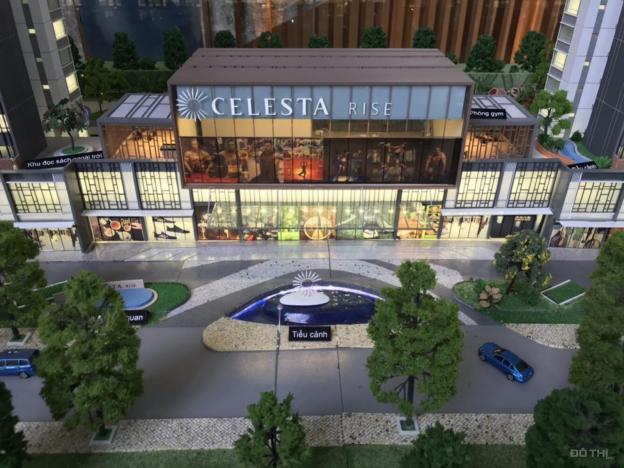 Celesta Rise Keppel Land cơ hội đầu tư tốt nhất năm 2020 13427405