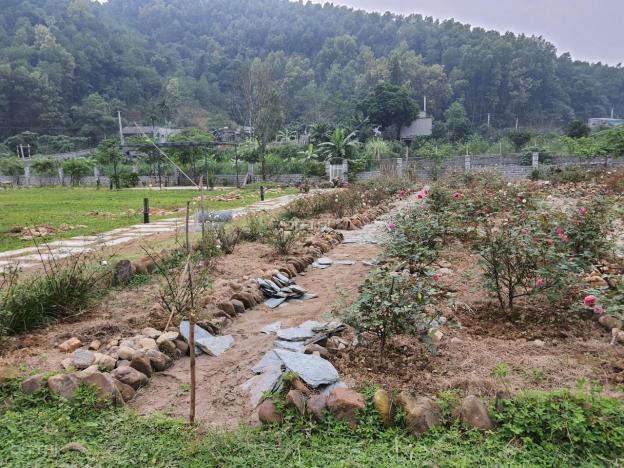 Chính chủ cần bán gấp 4000m2 khuôn viên hoàn thiện tuyệt đẹp tại Lương Sơn, Hòa Bình 13431565