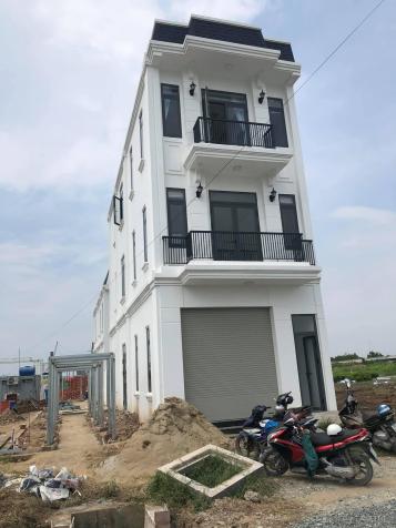 Bán đất nền dự án tại Đường Đoàn Nguyễn Tuấn, xã Hưng Long, Bình Chánh, Hồ Chí Minh diện tích 100m2 13435006