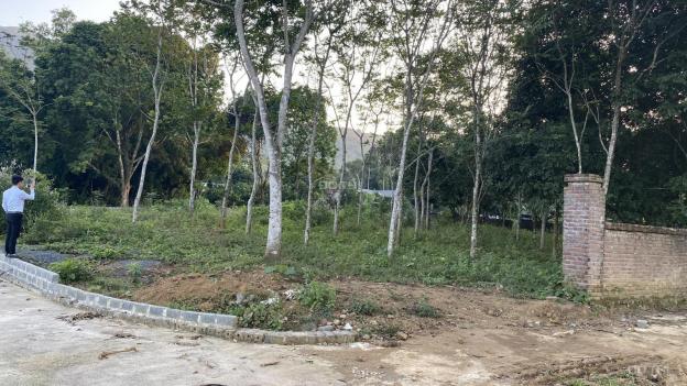 Cần bán gấp 2100m2 đất thổ cư siêu đẹp tại Lương Sơn, Hòa Bình 13435473