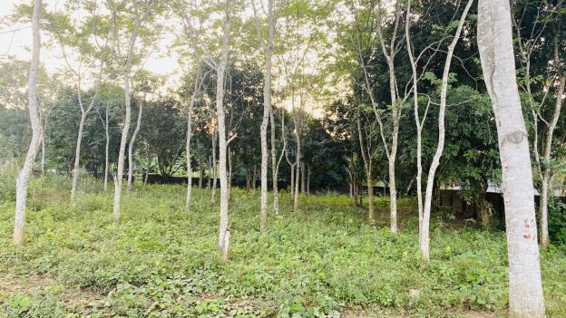 Cần bán gấp 2100m2 đất thổ cư siêu đẹp tại Lương Sơn, Hòa Bình 13435473