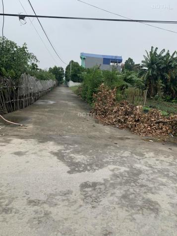 Bán nhanh lô đất phong thủy cực vượng tại thôn Dịch Trì, Ngọc Long 13436105