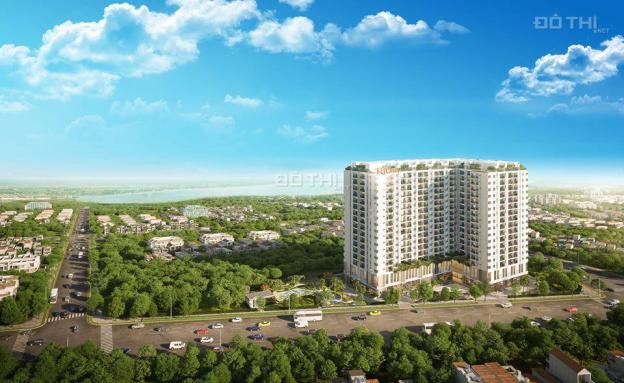 Bán căn hộ chung cư tại đường Gò Cát, Phường Phú Hữu, Quận 9, Hồ Chí Minh diện tích 55m2 giá 1,7 tỷ 13436689