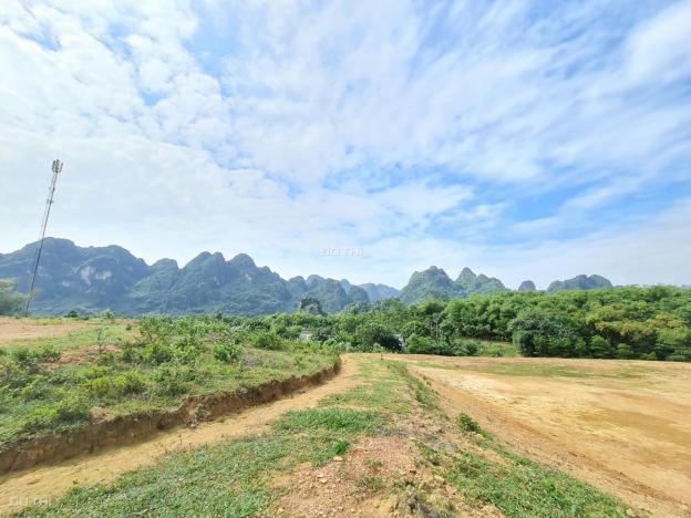 Cơ hội sở hữu ngay 17.226m2 có cả đất rừng và đất thổ cư tại Lương Sơn, Hòa Bình 13438948