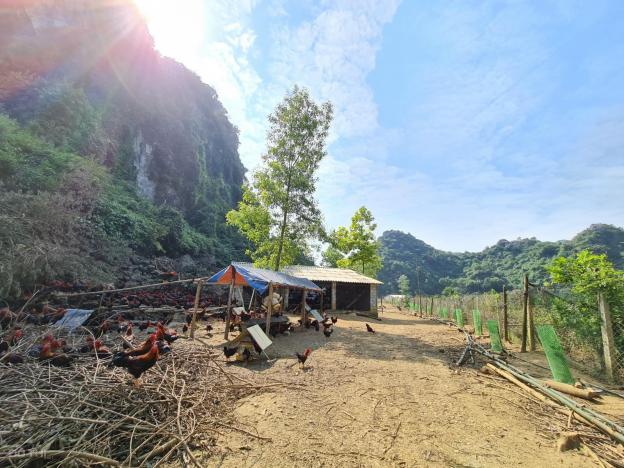 Chỉ 2.8 tỷ sở hữu ngay 1.4ha đất làm trang trại nghỉ dưỡng tuyệt đẹp tại Lạc Thủy, Hòa Bình 13439072
