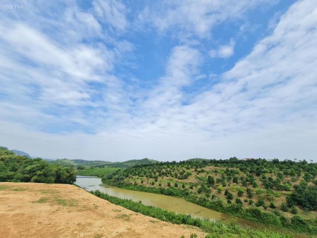 Cơ hội sở hữu ngay 17226m2 có cả đất rừng và đất thổ cư tại Lương Sơn, Hòa Bình 13441277