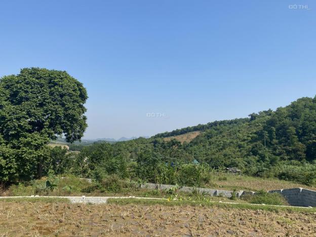 3.5ha view cực xinh ở Lương Sơn giá vài trăm triệu/ha. LH 0917.366.060/0948.035.862 13442496