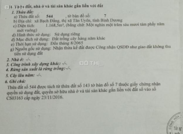 Đất vườn trồng bưởi và cất nhà khu vực Bạch Đằng - Tân Uyên - Bình Dương 13445867