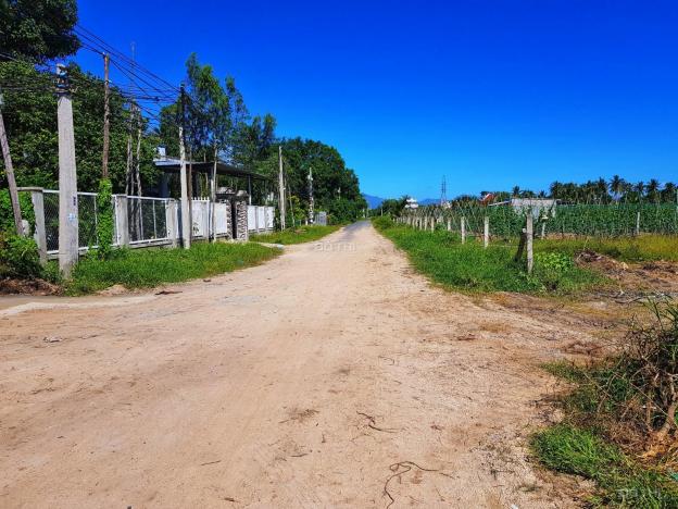 Đất phù hợp thổ cư Hòa Do 1A, Cam Phúc Bắc gần Nguyễn Công Trứ chưa tới 2 triệu/m2 13446398