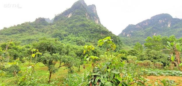 Em cần bán gấp lô đất nghỉ dưỡng view tuyệt đẹp tại Lương Sơn, Hòa Bình diện tích 8500m2 13452335